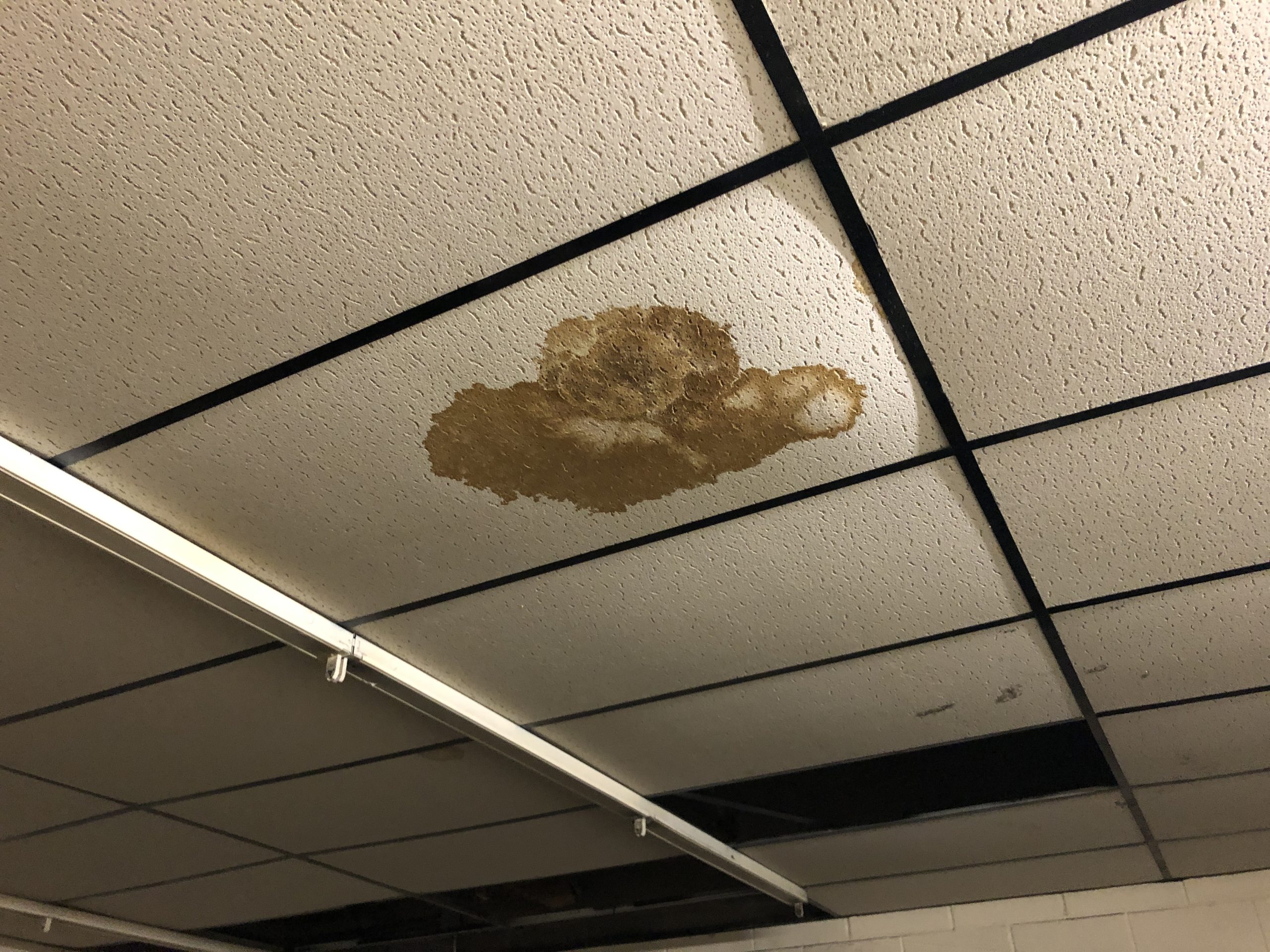 Ceiling Water Spot: Signs of a roof leak Signs of a roof leak