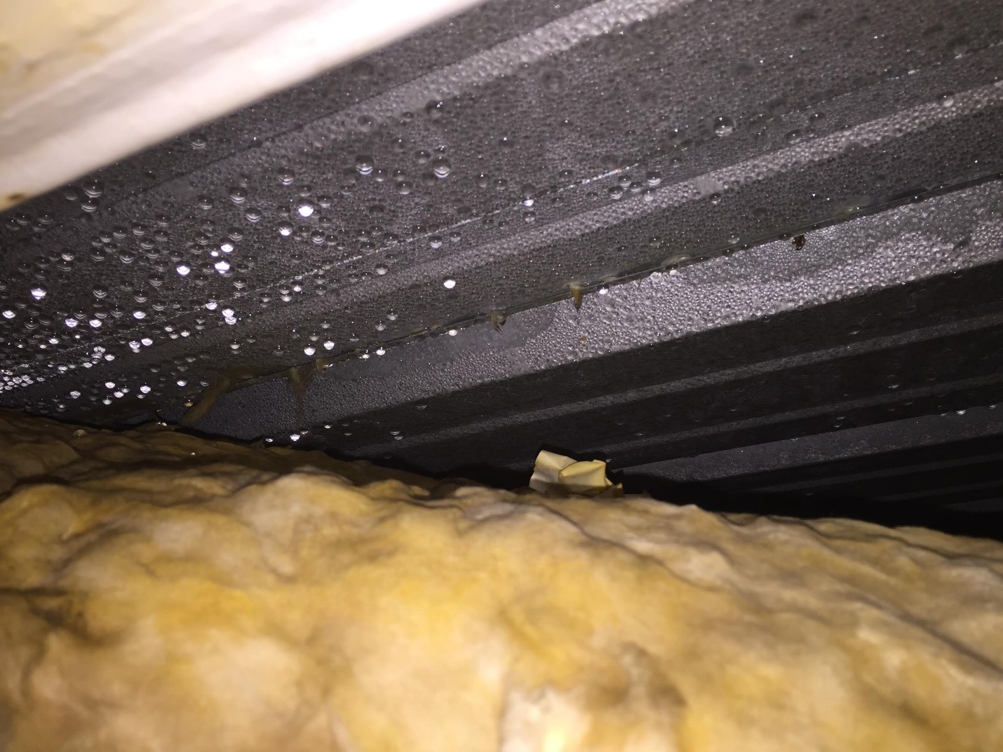 Condensation Causes Wet Insulation Condensation Causes Wet Insulation.