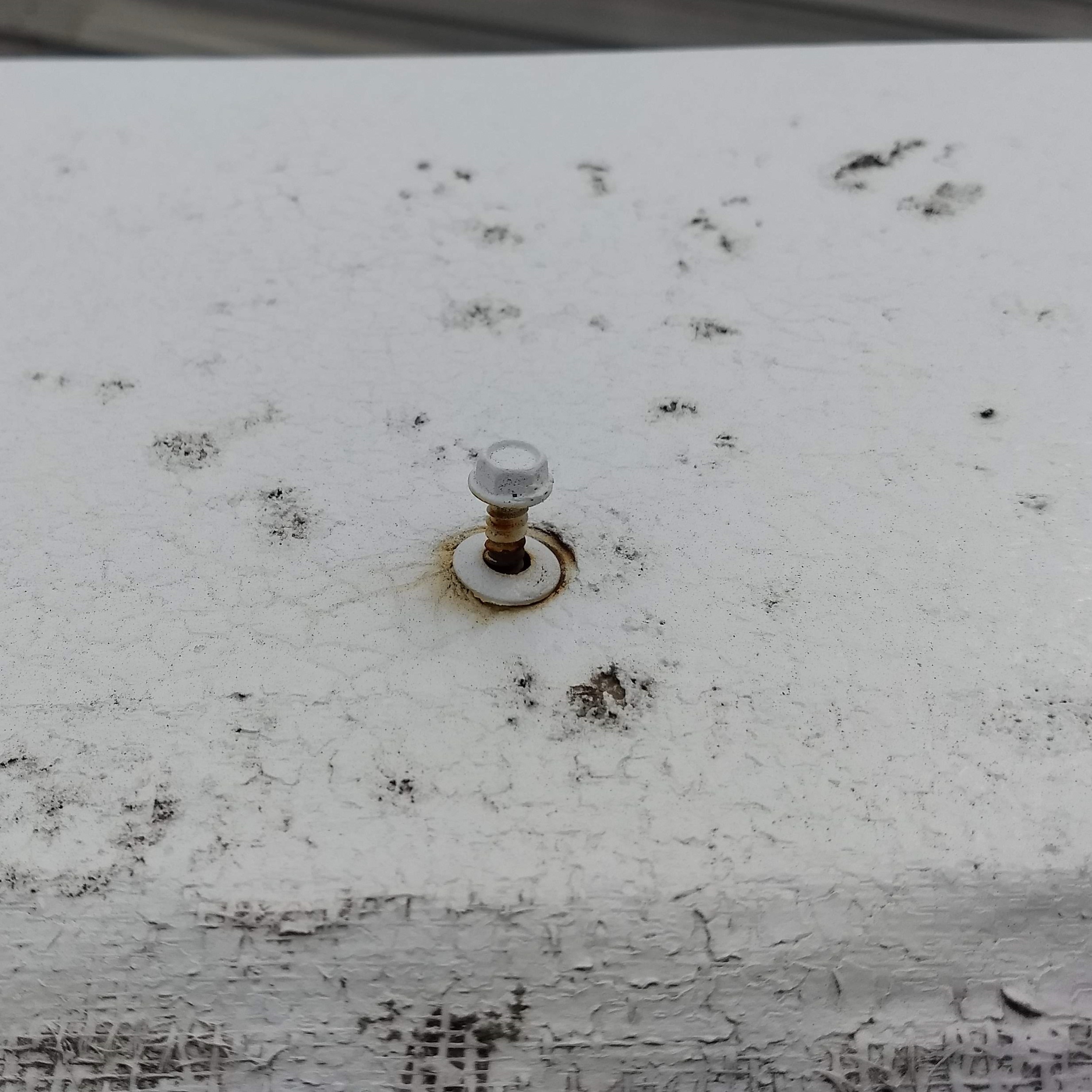 Roof Fastener Backout Metal Roof Fastener Backout