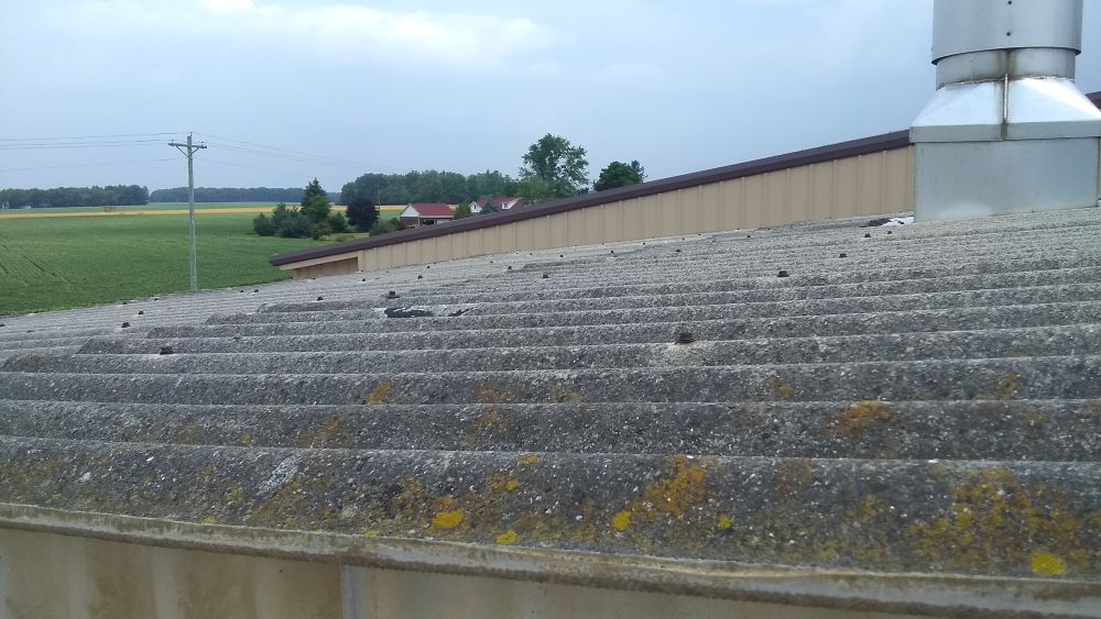 A Transite asbestos roof appears green with lichen.