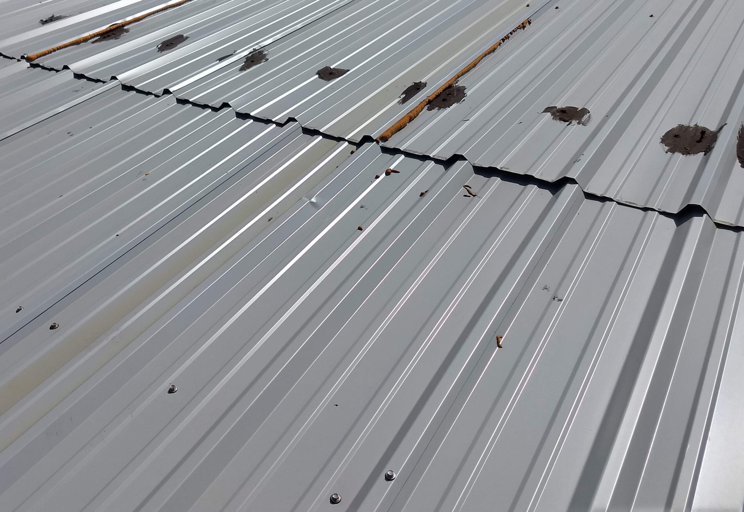 Standard Rib Metal Roof with Lifting Seams